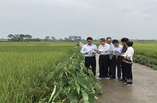 Lãnh đạo công ty trao đổi với các nhà khoa học